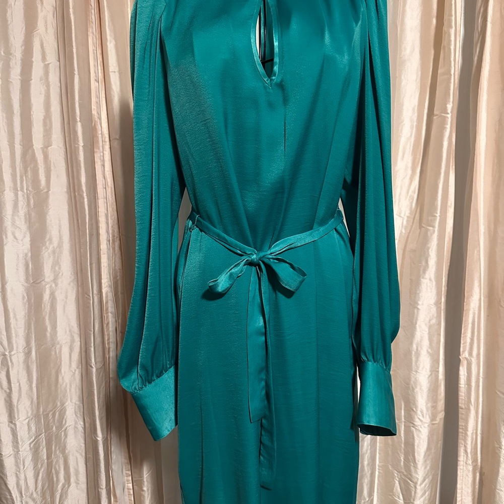 BCBGMaxAzria Green Long Sleeve Dress